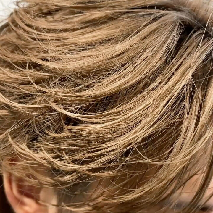 【フェザーショート】